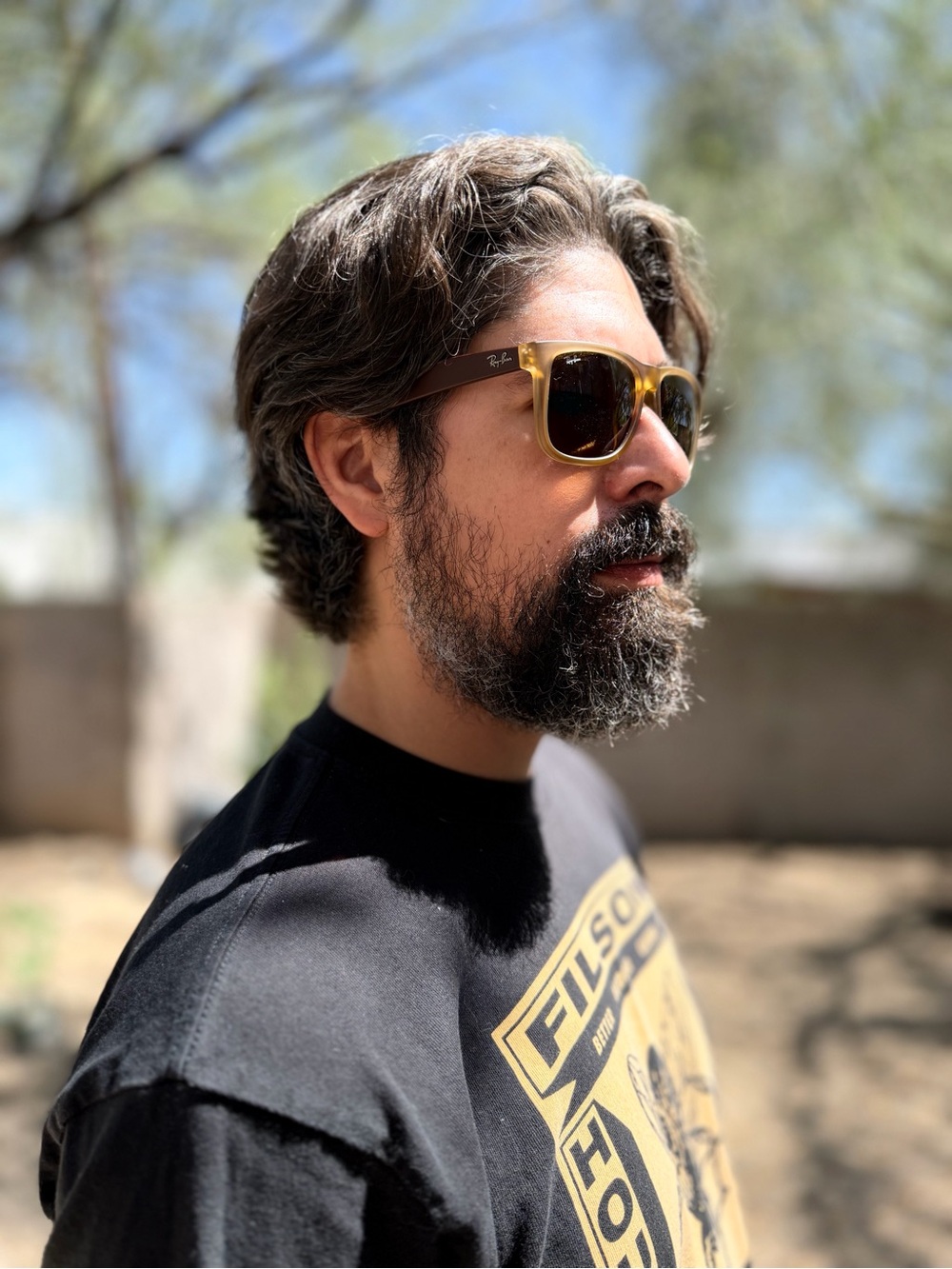 The Ray-Ban Justin Classic (RB4165F)